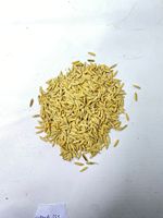 IPB 13 Senopati, matériau de plantation de riz de qualité supérieure à haut rendement, variété adaptée aux climats, semence botanique d'Indonésie
