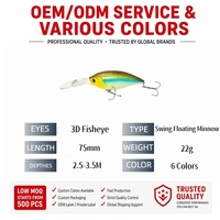 Vente en gros de leurres flottants de 75 mm et 22,5 g pour eau douce et eau salée, adaptés aux topmouths, aux culters, aux barres et aux poissons mandarins, leurres durs