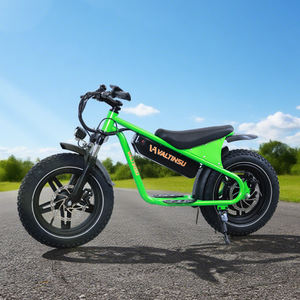 New <strong>Product</strong> 36v 10.4Ah 350w <strong>Motor</strong> Fatbike Fat Tire Mountain City Pedal Assisted E-<strong>bike</strong> 16 Inch Electric Dirt <strong>Bike</strong> - Product Image 1