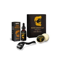 Petit quantité minimale de commande Logo personnalisé Cadeau pour homme Ensemble de soins de la barbe Rouleau de derma Huile à barbe naturelle pour homme Kit de soins de toilettage avec peigne à barbe