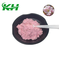 Bubuk Bunga Sakura Premium 100% Alami yang Larut dalam Air, Bubuk Sakura