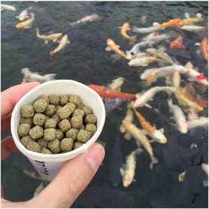 Nhà Máy Giá Bán Hot Cat Fish Cá Rô Phi Cá Hồi Tôm Nổi Thức Ăn Cho Cá Máy Đùn Ở Nigeria Ấn Độ - Product Image 5