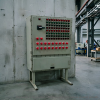 Console de commande anti-explosion sur mesure de grande taille, panneau de distribution électrique multi-circuits avec voyants lumineux pour le pétrole et le gaz