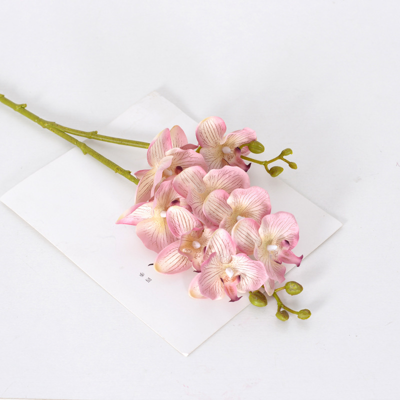 Phalaenopsis d'automne 2 fourchettes rose