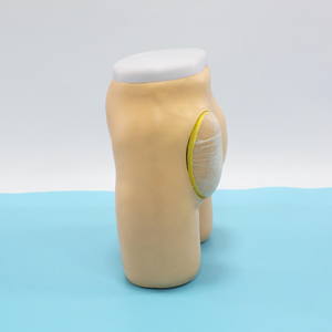 Enseignement médical Modèles avancés d'<span class=keywords><strong>injection</strong></span> <span class=keywords><strong>intramusculaire</strong></span> fessière et modèles de structure anatomique Ressources infirmières - Product Image 2