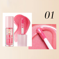 Rouge à lèvres liquide brillant personnalisé effet gloss volumateur pour marque privée