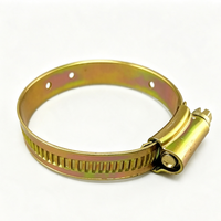 Collier de serrage pour tuyau en acier au carbone plaqué zinc jaune, personnalisable, OEM ODM, fourniture directe usine