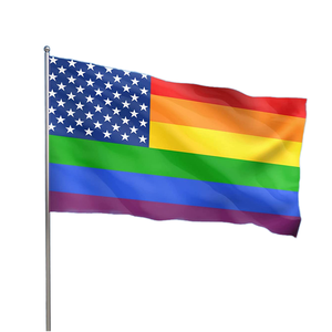 Hot bán nhà máy trực tiếp tùy chỉnh cùng một giới tính kỳ nghỉ 3 * 5ft Polyester Bunting đôi phun đầy màu sắc LGBT niềm tự hào Sao cầu vồng cờ - Product Image 1