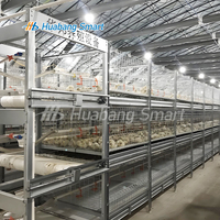 Cage à poulets entièrement automatique, dernière génération, best-seller, garantie d'un an, grande capacité, gain de place