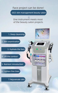 Portable 10 en 1 Machine de soins de la peau du visage Dispositif de beauté à jet d'oxygène avec détection de peau pour visage de cheveux Compatible avec les bouchons IT ZA