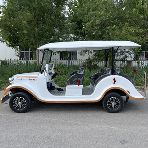 Carrito Eléctrico HKBG Strong Power BrightGal de 8 Plazas, Estilo Vintage Chino - Product Image 5