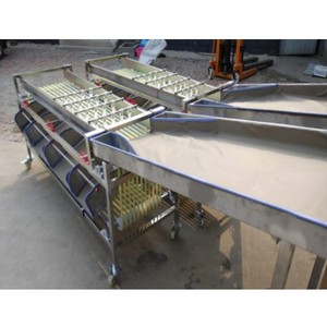 Machine de tri de concombres et de classement de pommes de terre très appréciée sur le marché industriel européen - Product Image 2