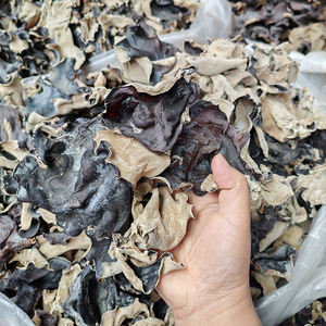 Китайский высококачественный сухой черный грибок древесный ушной гриб для продажи черный гриб большого размера - Product Image 4