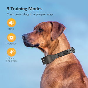 Collar de entrenamiento para perros Collares de entrenamiento impermeables para 2 perros con control remoto Recargable 3 modos de entrenamiento - Product Image 2