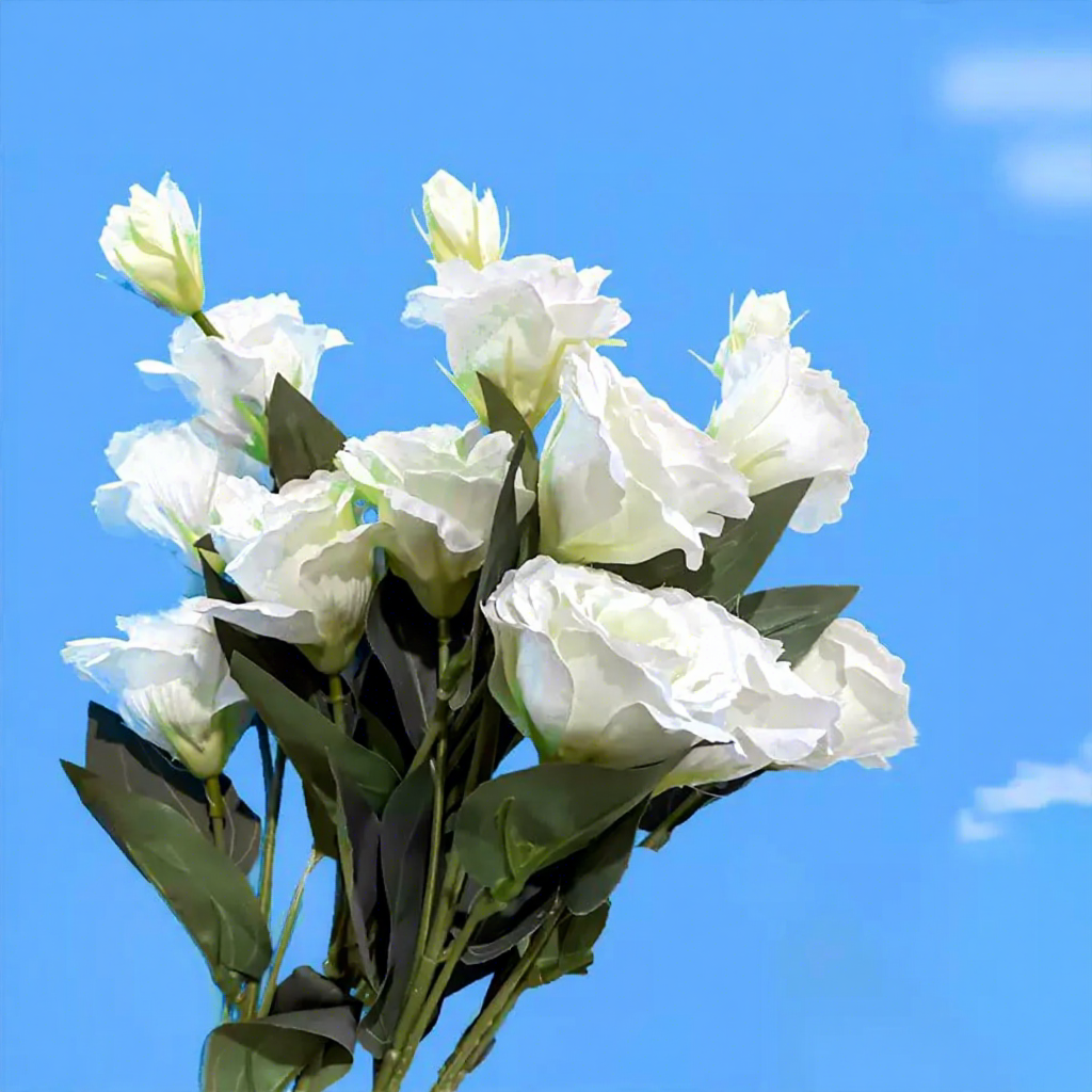 สีเขียวอ่อน