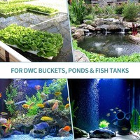 Diffuseur d'air rond en pierre pour aquarium, oxygénateur à bulles en vrac