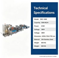 DXC-1000 Wervelstroom groentewasmachine 4KW Industriële fruit-, bladgroente- en wortelgroentewasser voor voedselverwerkingsfabriek