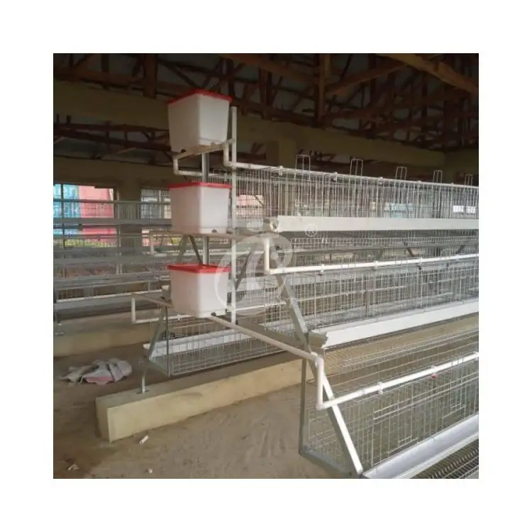 Pakistan Layer Chicken Cage Poultry Farm Battery Cages for Poultry Chicken Layer 500 With Automatic Water Tank