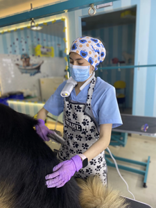 Hundeföhn mit Halterung Hochleistungs-Leiser Haartrockner Großes und Kleines Haustier Wasserblasgerät Speziell für Hunde - Product Image 6