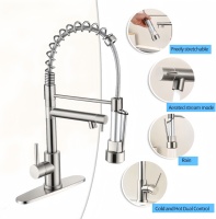 Robinet de cuisine professionnel en acier inoxydable avec douchette extractible, monocommande, à poser sur plan, monotrou, pour pré-évier, camping-car, ferme, extérieur