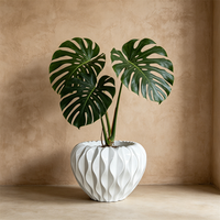 Pot de fleurs ovale blanc brillant à cannelures ondulées avec bord festonné pour la décoration moderne de la maison et du jardin