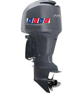 Nuevo motor fueraborda Yamahas F300DETX de 4 tiempos, arranque Manual de combustible de gasolina eléctrico japonés para uso marino y en barcos - Product Image 6