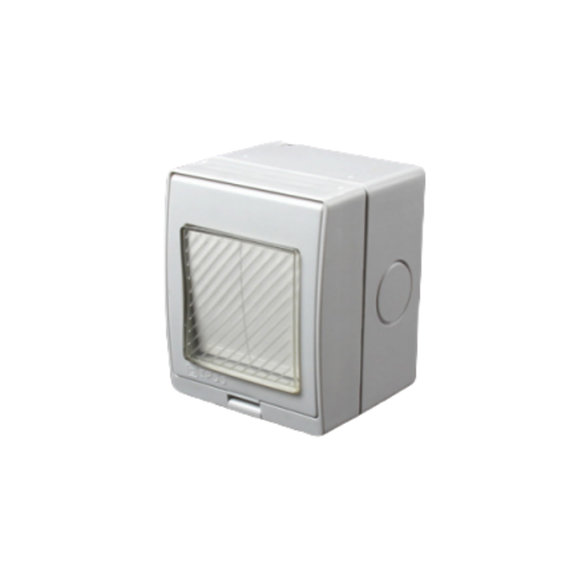 IP55 Double Switch ABS Waterproof Rainproof and Dustproof for Farm Ranch Garden Outdoor Surface-mounted Max Voltage 250v