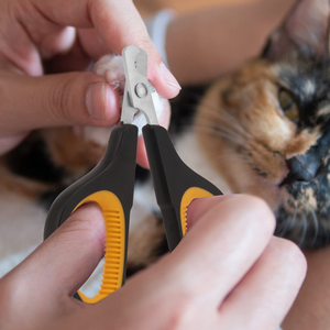 Customized Non-Foldable Stainless Steel Pet Grooming <b>Scissors</b> for <b>Dogs</b> and Cats-Beauty Tool - Product Image 5