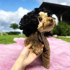 Portable <b>Dog</b> Hair Wig <b>Scissors</b> Set Small Acrylic Grooming Tools with Charging Feature Box Packed - Product Image 1