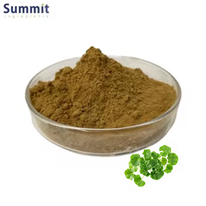 Gotu Kola toz en iyi fiyat saf doğal % Gotu Kola özü tozu - Product Image 1