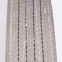 Fabrika 1's 1-10 Ton renk kodlu Polyester kaldırma kemer sapanlar dokuma sonsuz desen düz Web kaldırma kayışı vinç kullanımı için