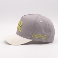 Casquette de baseball structurée à 5 panneaux personnalisée, bicolore gris et blanc, avec logo TR brodé, visière incurvée, en sergé de coton, vente en gros