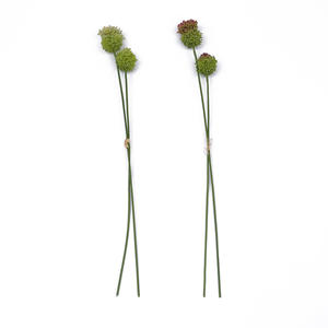 <span class=keywords><strong>Fiori</strong></span> Artificiali Real Touch, Steli di Allium Finti per Decorazioni Vaso, Casa, Matrimonio, Fai da Te, Artigianato, Giardino - Product Image 5