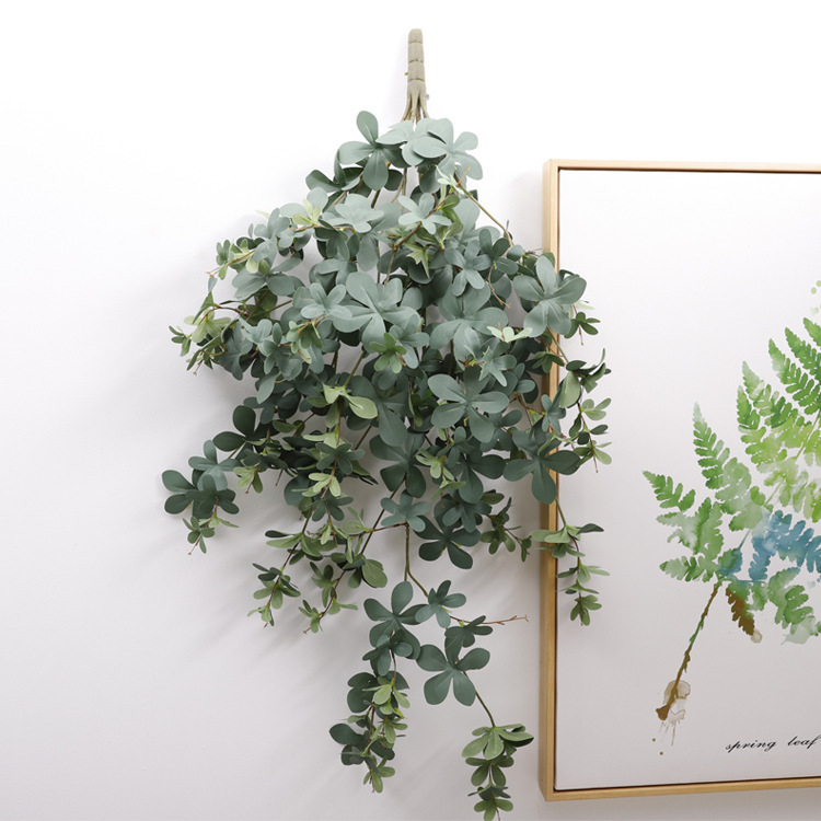 cuckoo leaves are grayish-green