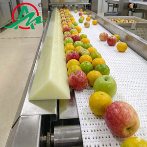Bordi Guida Triangolari in PU per Uso Alimentare: Strisce Laterali in Poliuretano per Sigillatura di Nastri Trasportatori di Impasti e Frutta - Product Image 5
