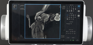 32 Kw Yüksek Frekanslı Dijital Veteriner Dr <span class=keywords><strong>X</strong></span>-<span class=keywords><strong>ray</strong></span> Küçük Hayvan Röntgeni Floroskopi Ekipmanı Sabit Veteriner Köpek Röntgen Cihazı - Product Image 6