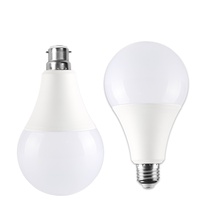 Ampoule LED en plastique d'intérieur de haute qualité 3W-22W B22/E27 certifiée CE RoHS AC85-265V