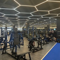 Máquina de Gimnasio Comercial de Alta Resistencia para Pecho, con Placas de Acero, Doble Barra Lineal para Ejercicios de Tracción y Flexión de Espalda