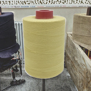 Hilo de Meta Aramida Negro 1313 Colorido 20s2 20s3 30s2 30s3 de Alta Tenacidad y Resistencia a Altas Temperaturas para Bordado - Product Image 3