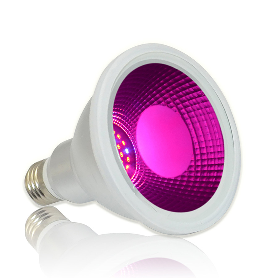 Liweida la pequeña cantidad de la Orden de 12 vatios 630nm 460nm 3020 smd E26 E27 30 grados ip65 6500 K led crecer luces bombill