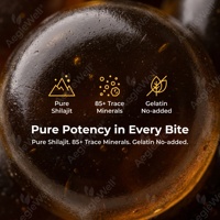 Gummies de Shilajit de l'Himalaya pour hommes et femmes, riches en Ashwagandha, Gokshura avec plus de 85 oligo-éléments, stimulant d'énergie et soutien immunitaire