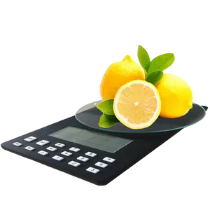 Portion Control Weight Loss Smart Kitchen Diet Weighing Nutrition Facts Food Scale with Nutritional Calculator