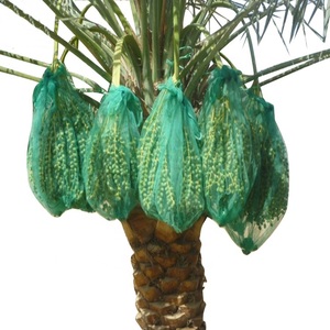 Precio de fábrica Muestra gratis 70x9 0cm/80x10 0cm/90x11 0cm/100x120cm con cordón negro Fecha Palmera Bolsa de malla de red para cubierta de Fecha - Product Image 2