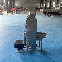 Volledig automatische sinaasappelsap productie-apparatuur; grootschalige industriële commerciële kokosvleespersen