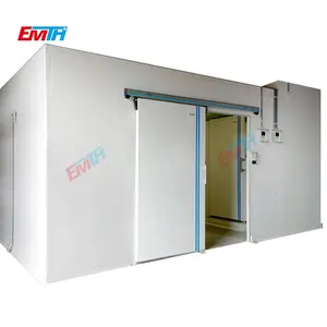 Commercial Cold room price 20ft container walk in freezer cold storage unit blast refrigeration