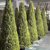 NINI Sapins artificiels tropicaux en plastique en forme de cône, décorations de fêtes pour l'extérieur, Noël, Nouvel An, Pâques