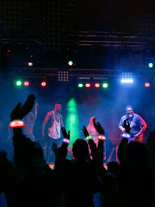 ชุดสายรัดข้อมือซิลิโคน LED ไฟ LED ควบคุมจากบาปเพื่อเฉลิมฉลองเทศกาลดิวาลีและโอกาสอื่นๆ - Product Image 5