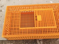 Cage de transport pour poulailler en plastique extra-large, renforcée et épaissie, facile à installer, pour poulets adultes, pigeons et plus encore