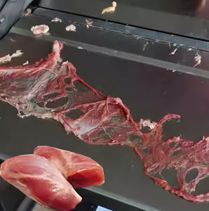 Nouvelle machine automatique KESSLER pour enlever la peau de bœuf, haute efficacité, en acier inoxydable, pour boucherie - Product Image 4