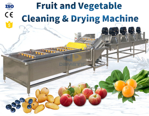 Machine de lavage et de nettoyage automatique électrique à pulvérisation pour carottes, manioc, pommes, maïs, tomates, agrumes et fruits rouges - Product Image 2